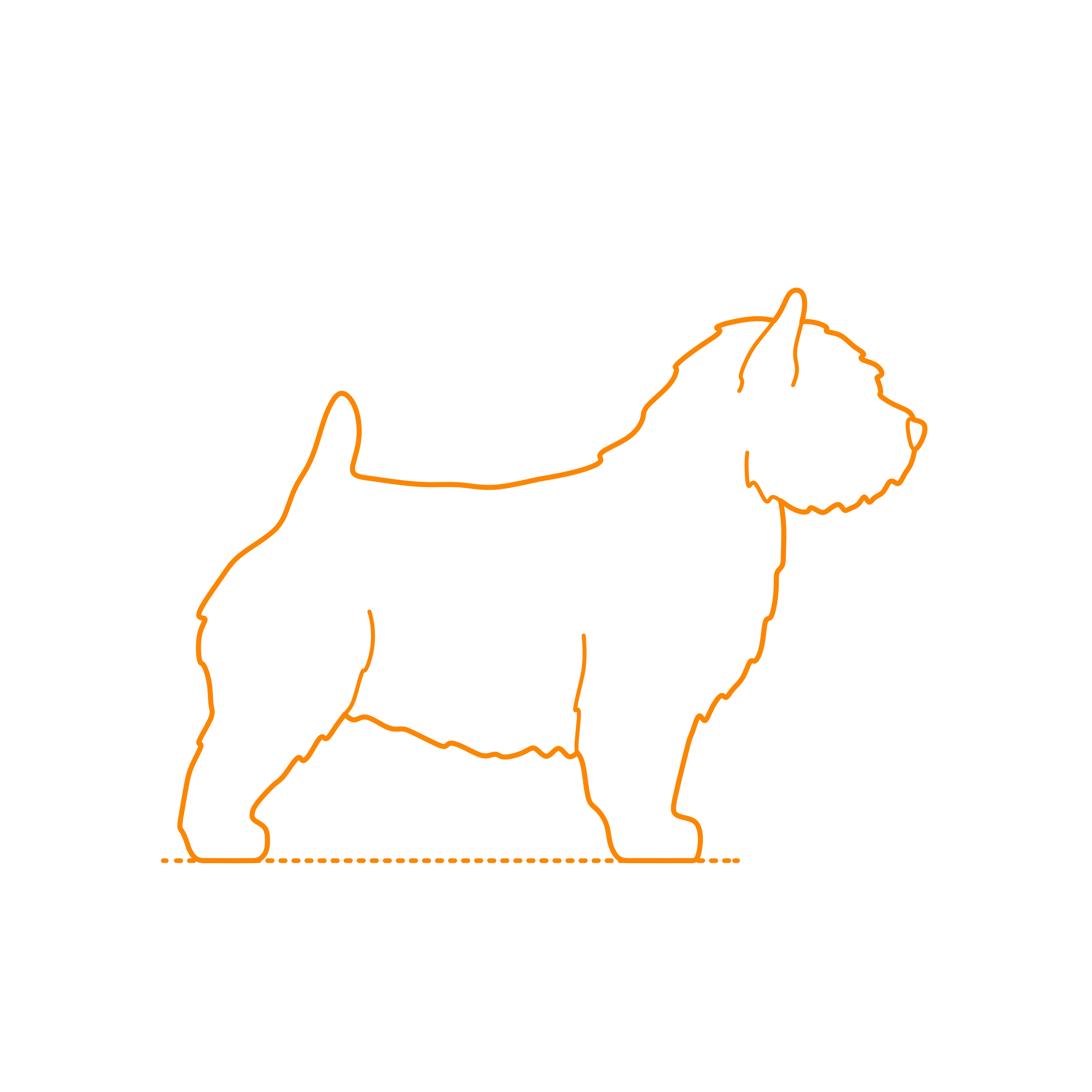 Animals Dogs Norwich Terrier Sticker Svg Vector Free Vectors